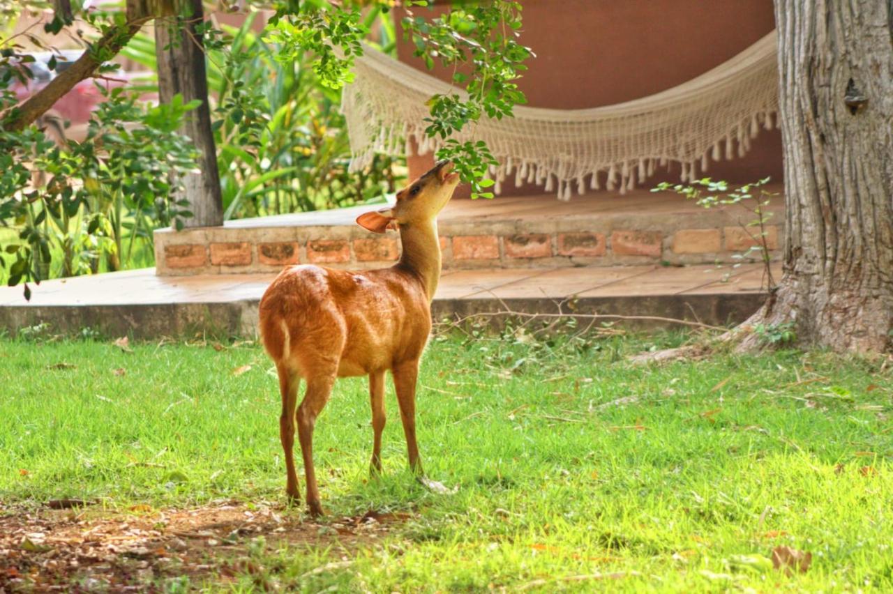 Aymara Lodge Poconé Extérieur photo