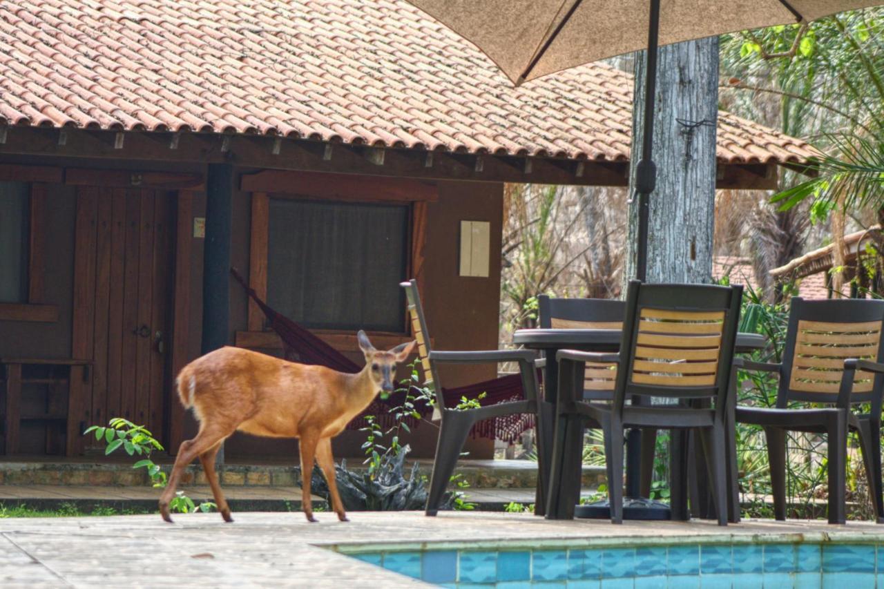 Aymara Lodge Poconé Extérieur photo